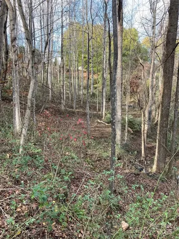1638 Continental Divide Drive Flat Rock NC 28731