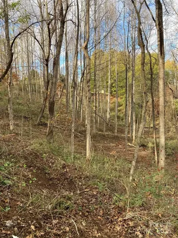 1638 Continental Divide Drive Flat Rock NC 28731