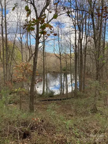 1638 Continental Divide Drive Flat Rock NC 28731