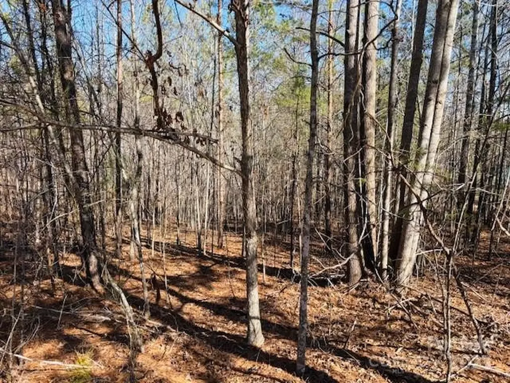 0 Creekside Circle Rutherfordton NC 28139