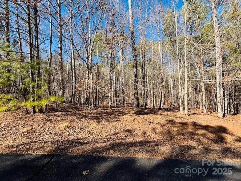 0 Creekside Circle Rutherfordton NC 28139