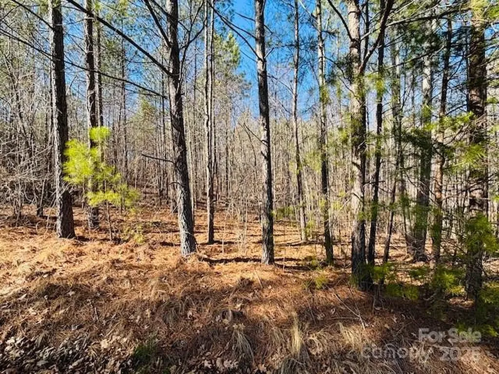 0 Creekside Circle Rutherfordton NC 28139