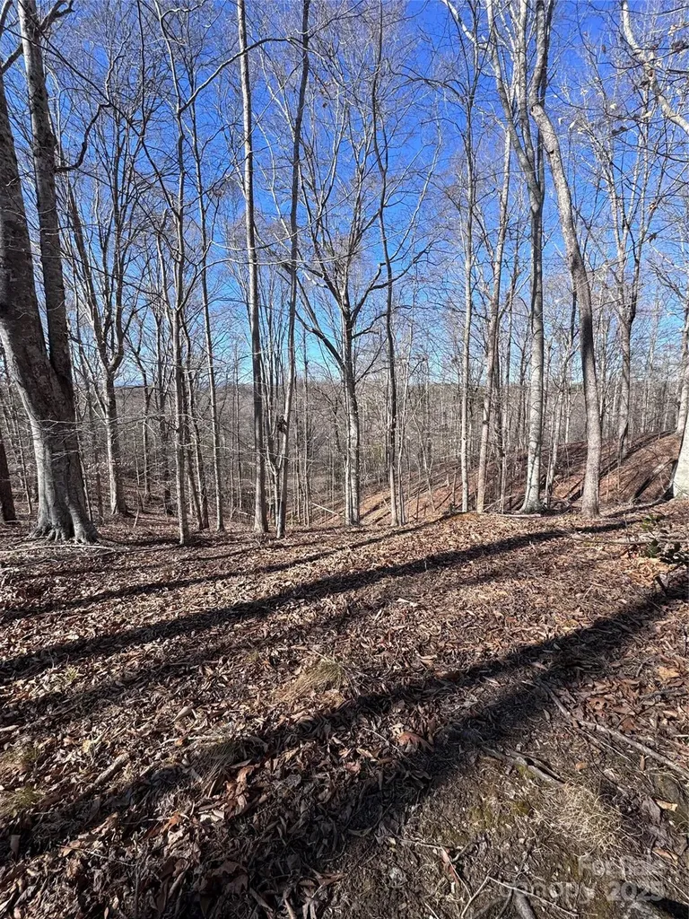 0 Cross Creek Drive Rutherfordton NC 28139