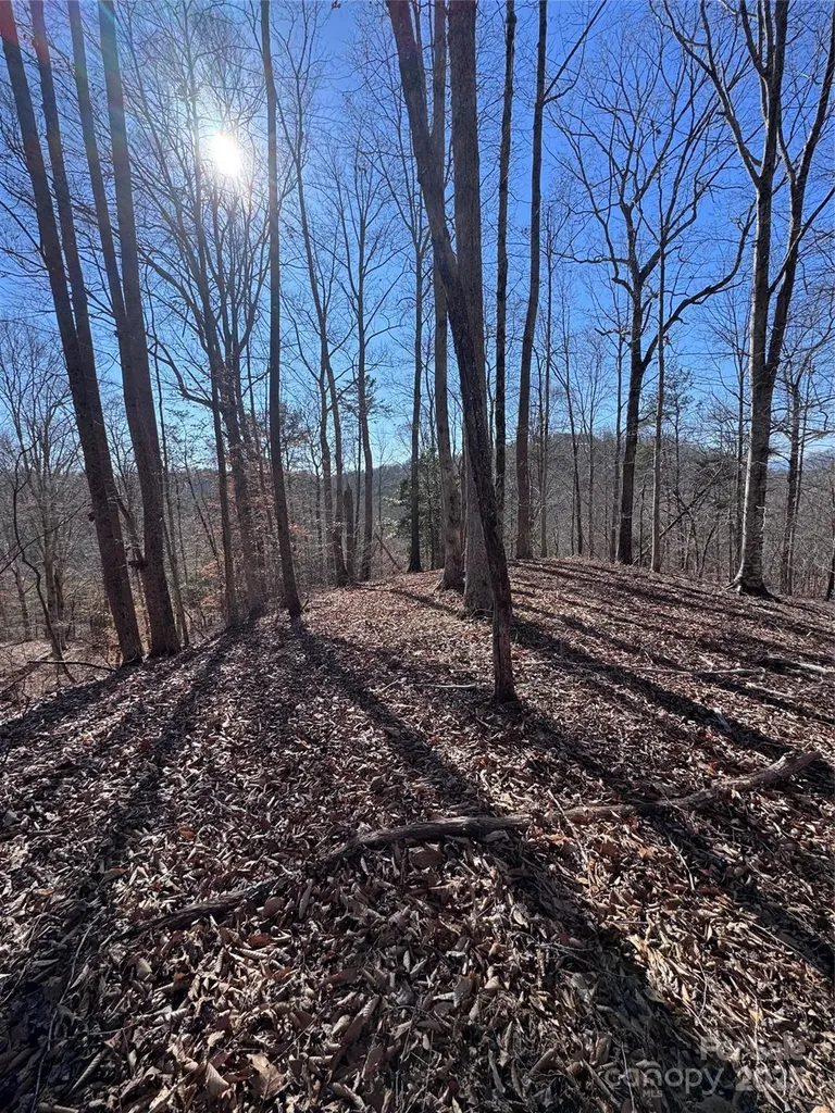 0 Cross Creek Drive Rutherfordton NC 28139