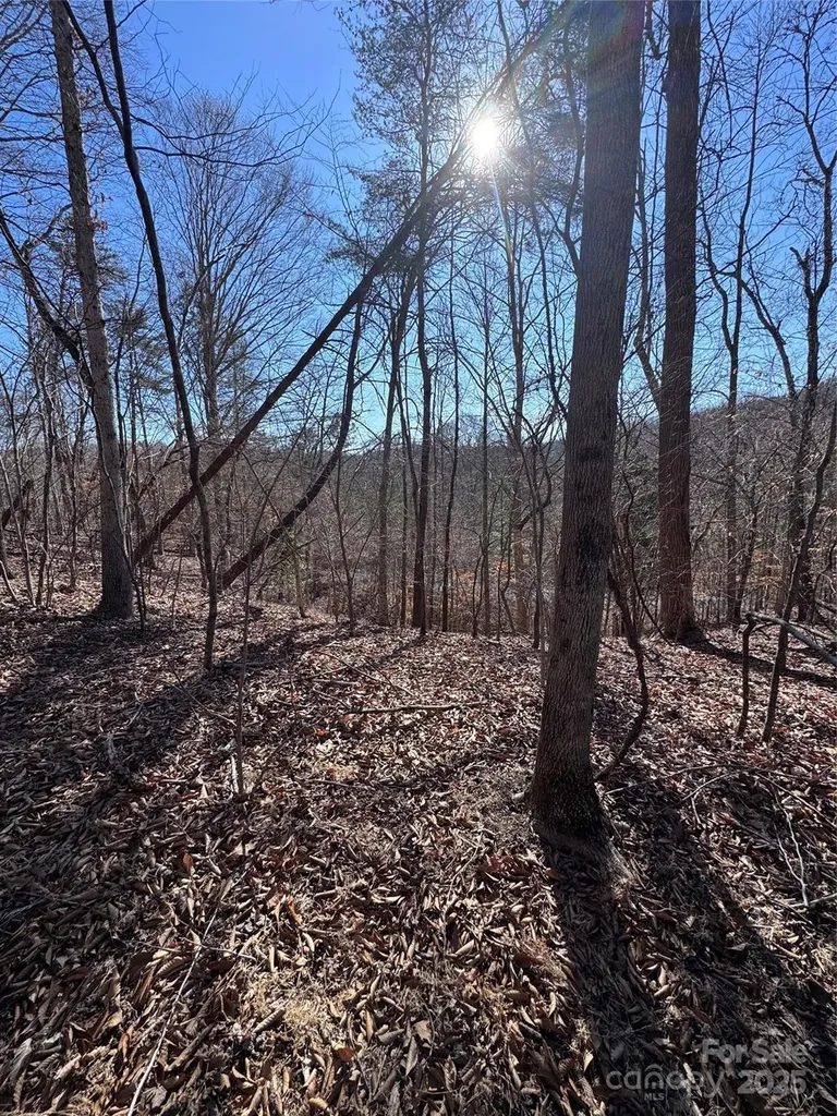 0 Cross Creek Drive Rutherfordton NC 28139