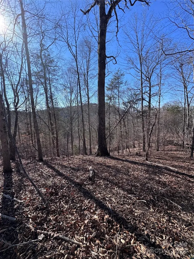 0 Cross Creek Drive Rutherfordton NC 28139