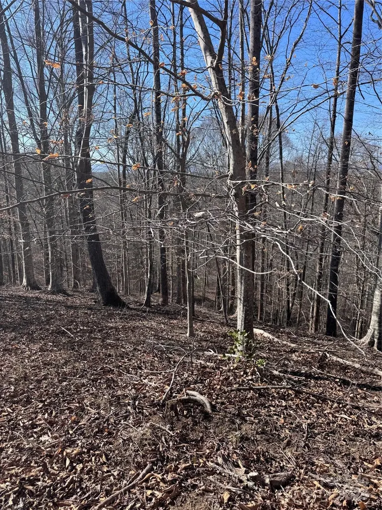 0 Cross Creek Drive Rutherfordton NC 28139