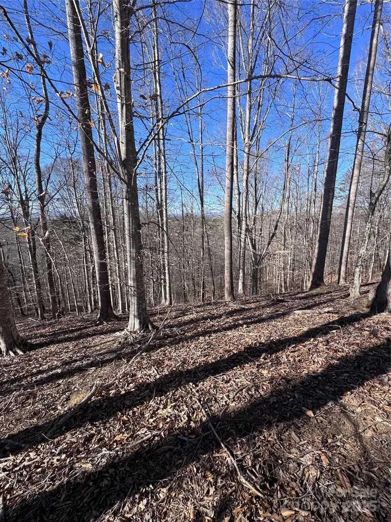 0 Cross Creek Drive Rutherfordton NC 28139