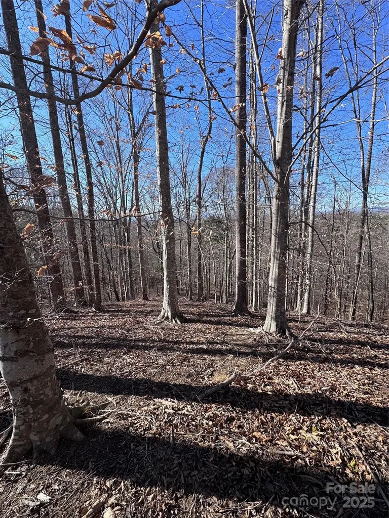 0 Cross Creek Drive Rutherfordton NC 28139