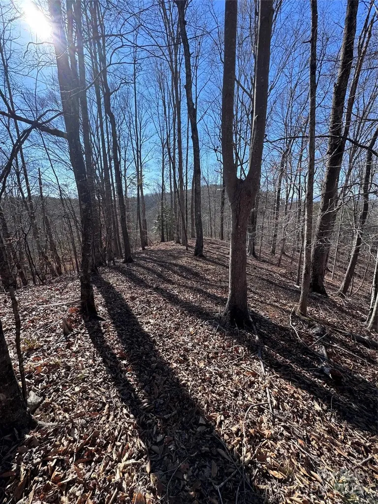 0 Cross Creek Drive Rutherfordton NC 28139