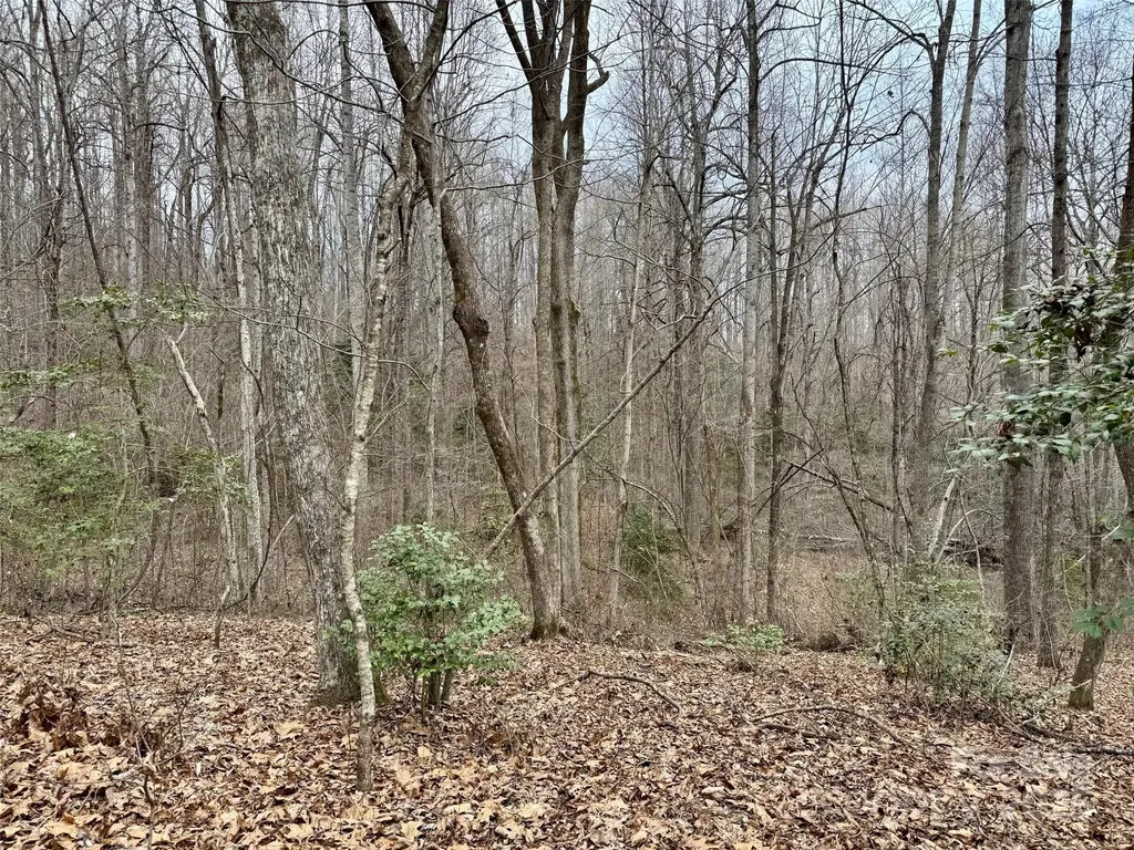 000 Orchard Mountain Road Saluda NC 28773