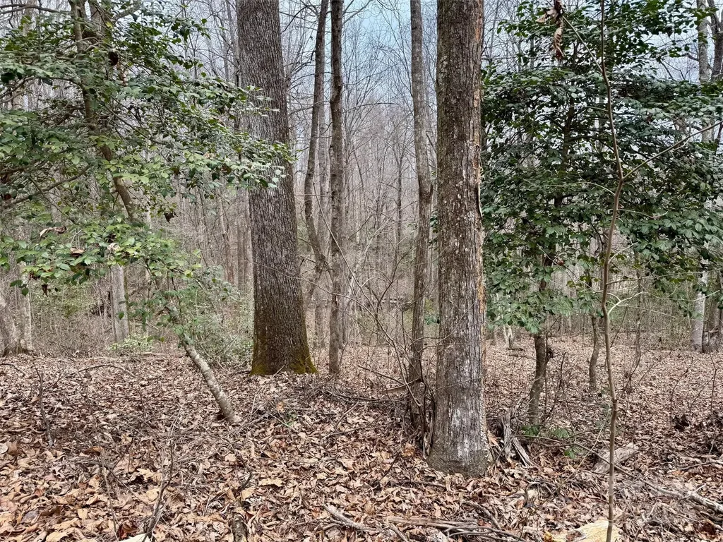 000 Orchard Mountain Road Saluda NC 28773