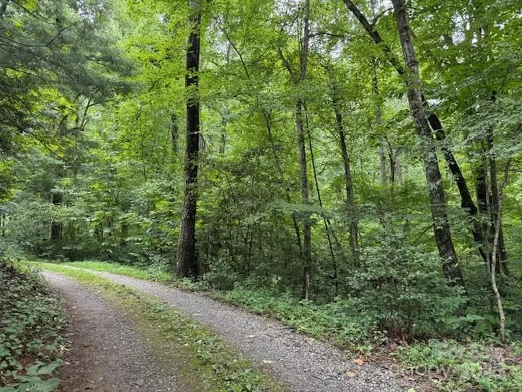 000 Orchard Mountain Road Saluda NC 28773