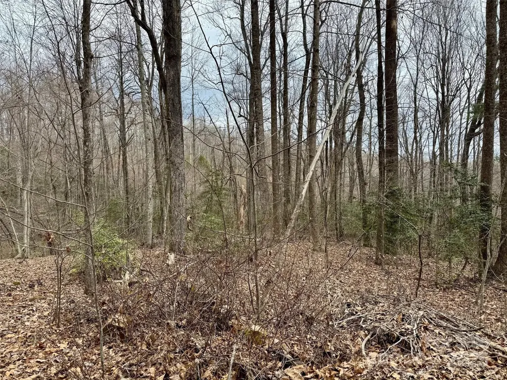 000 Orchard Mountain Road Saluda NC 28773