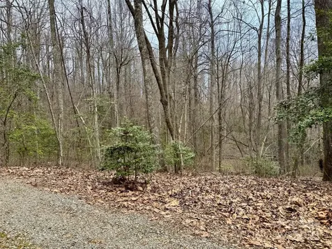 000 Orchard Mountain Road Saluda NC 28773