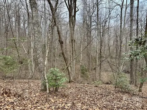 000 Orchard Mountain Road Saluda NC 28773