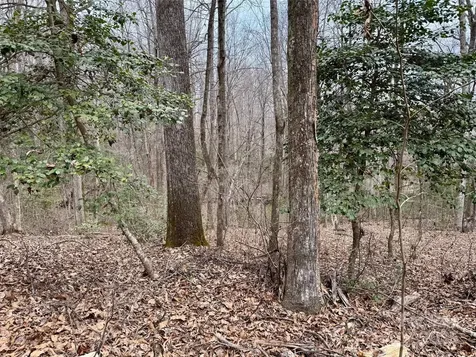 000 Orchard Mountain Road Saluda NC 28773