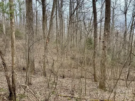 000 Orchard Mountain Road Saluda NC 28773