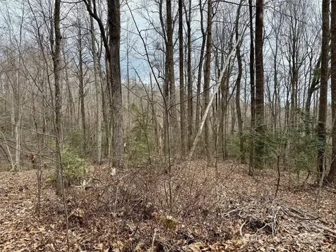 000 Orchard Mountain Road Saluda NC 28773