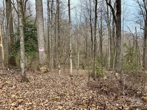 000 Orchard Mountain Road Saluda NC 28773