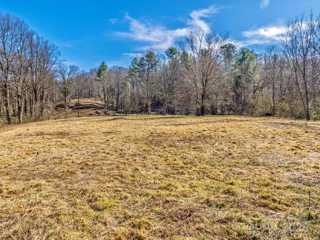 99999 Burney Mountain Road Fletcher NC 28732