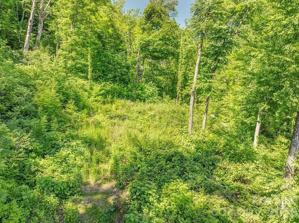 93 Patchens Estate Road Waynesville NC 28786