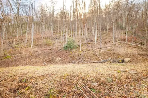 93 Patchens Estate Road Waynesville NC 28786