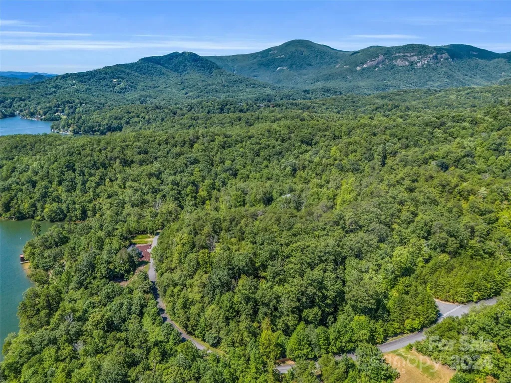 0 Holmstead Drive Lake Lure NC 28746