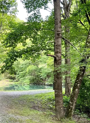 180 Valley Lane Bryson City NC 28713