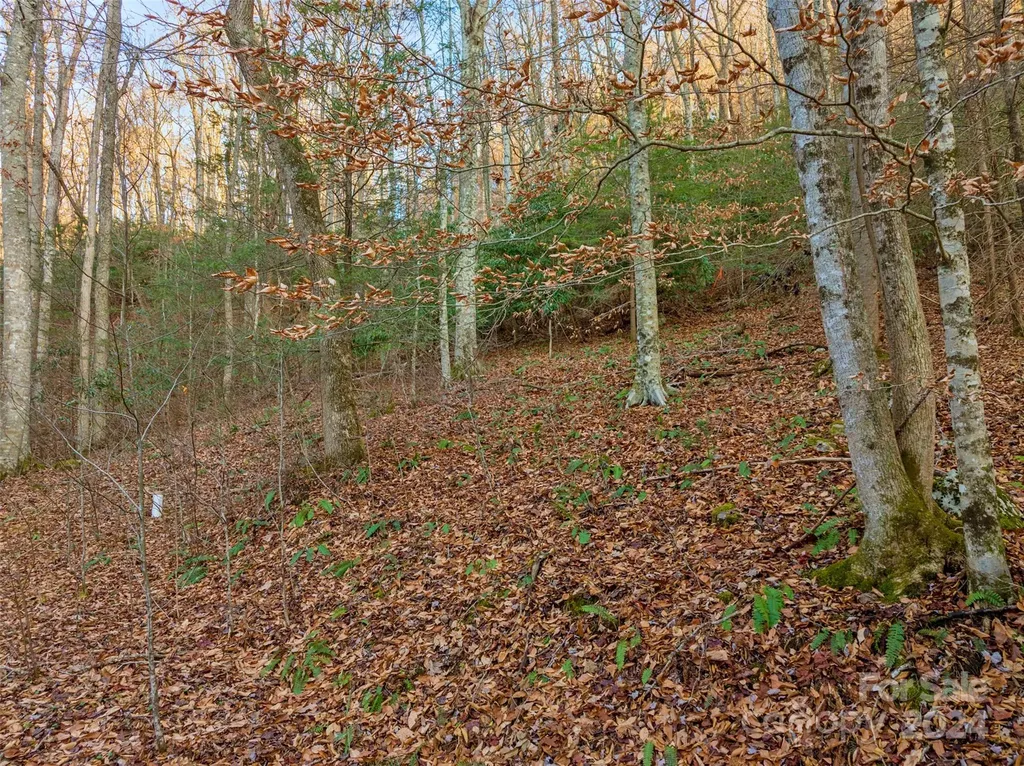 370 Cabin Creek Trail Mars Hill NC 28754