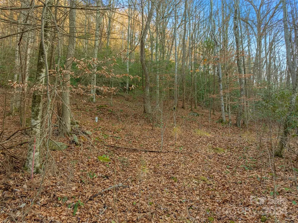 370 Cabin Creek Trail Mars Hill NC 28754
