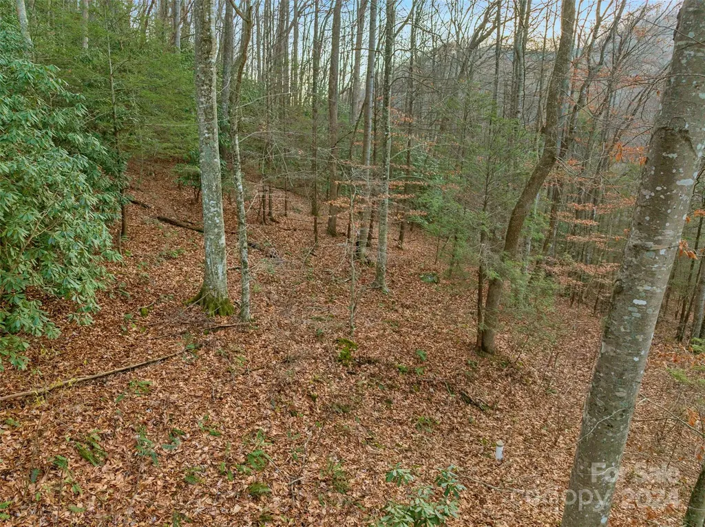 370 Cabin Creek Trail Mars Hill NC 28754