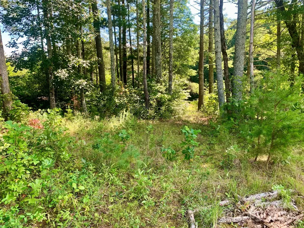 2.81 Acres, 4098 Derbyshire Lane Lenoir NC 28645