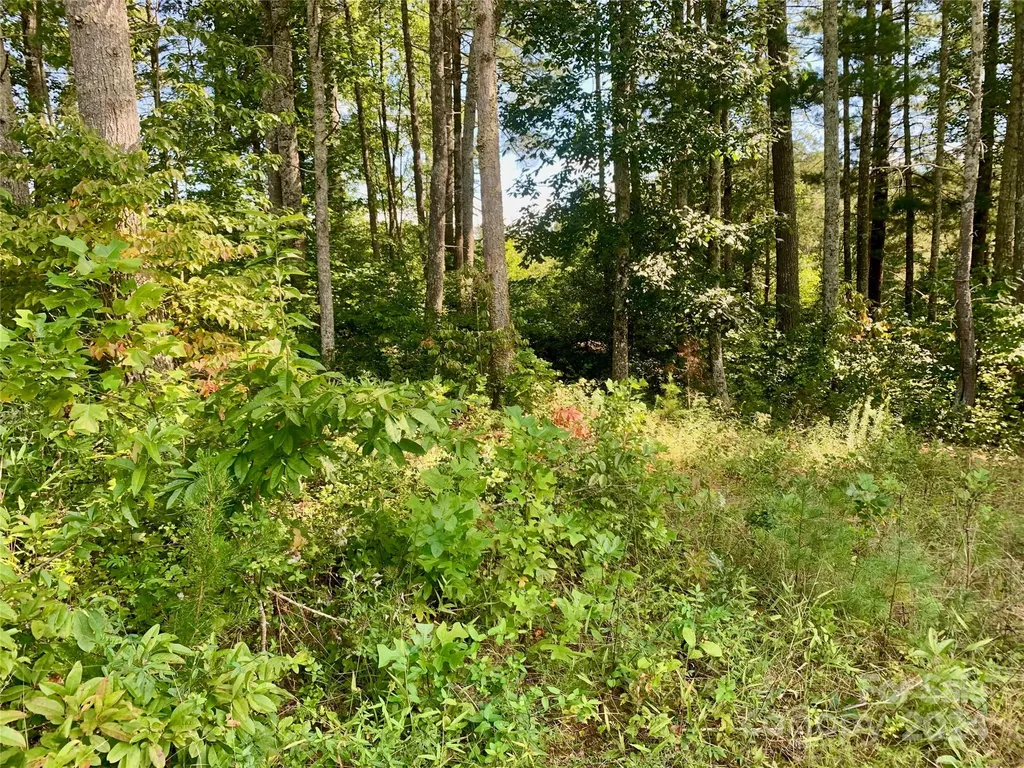 2.81 Acres, 4098 Derbyshire Lane Lenoir NC 28645