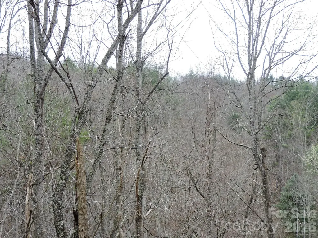 2271 Gouges Creek Road Spruce Pine NC 28777