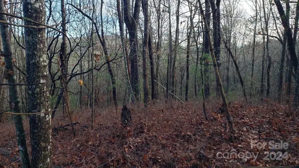Tbd Cedar Lane Brevard NC 28712