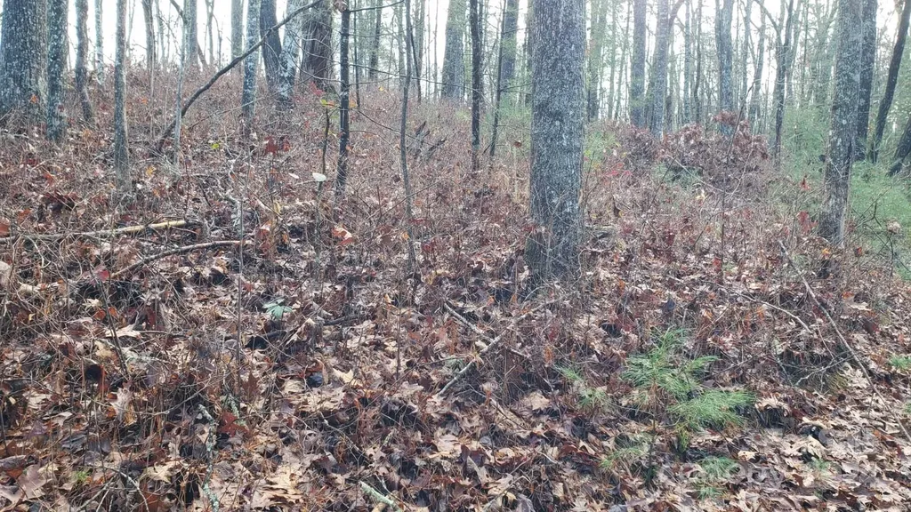 Tbd Cedar Lane Brevard NC 28712