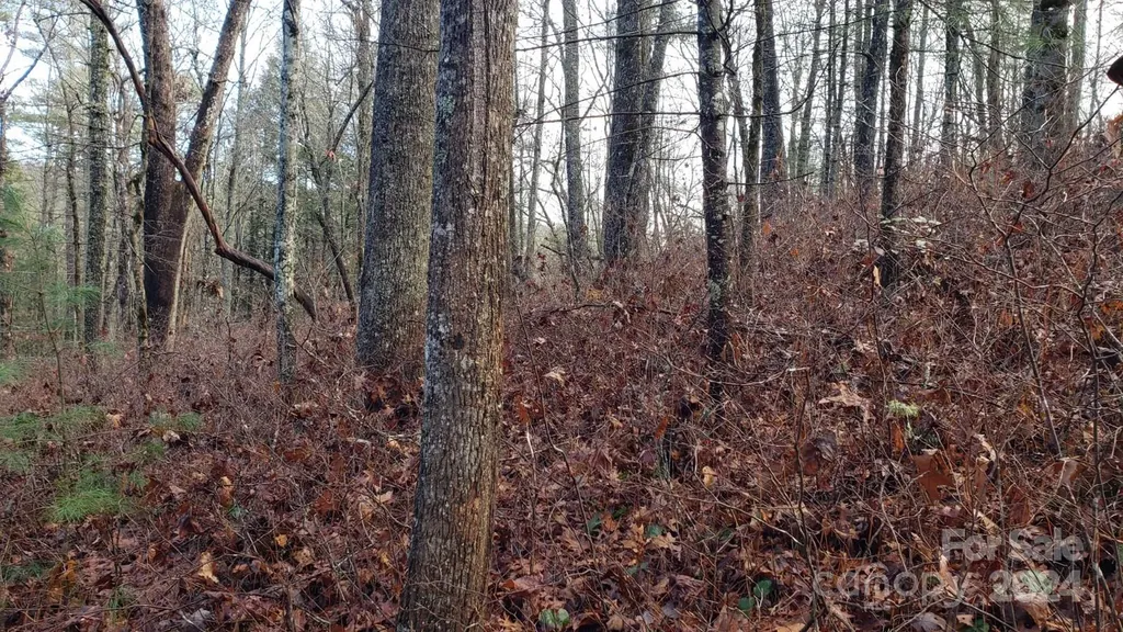 Tbd Cedar Lane Brevard NC 28712