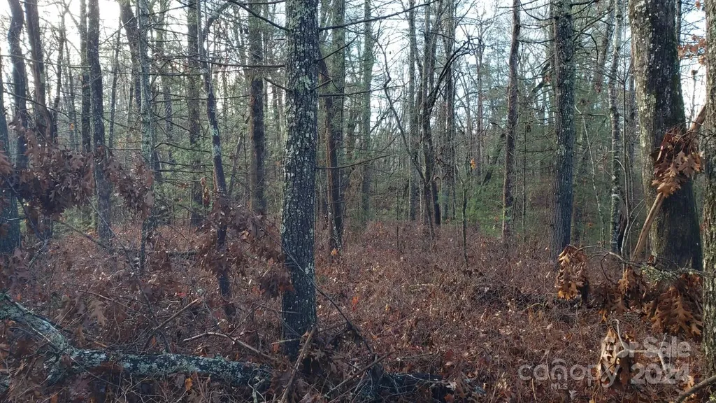 Tbd Cedar Lane Brevard NC 28712