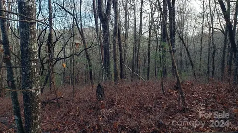 Tbd Cedar Lane Brevard NC 28712