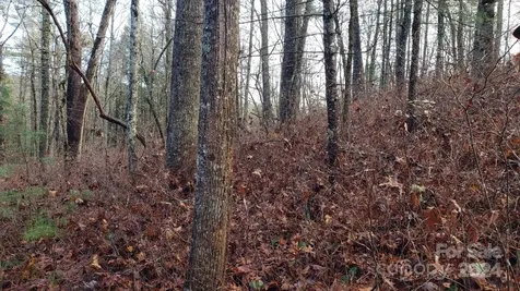 Tbd Cedar Lane Brevard NC 28712