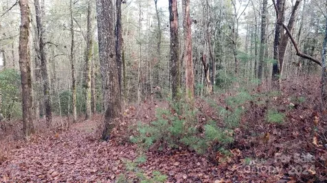 Tbd Cedar Lane Brevard NC 28712