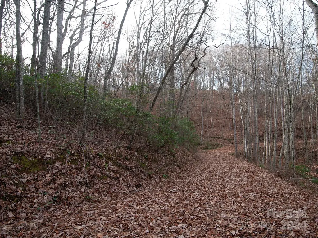 000 Beacon Rock Lane Waynesville NC 28786