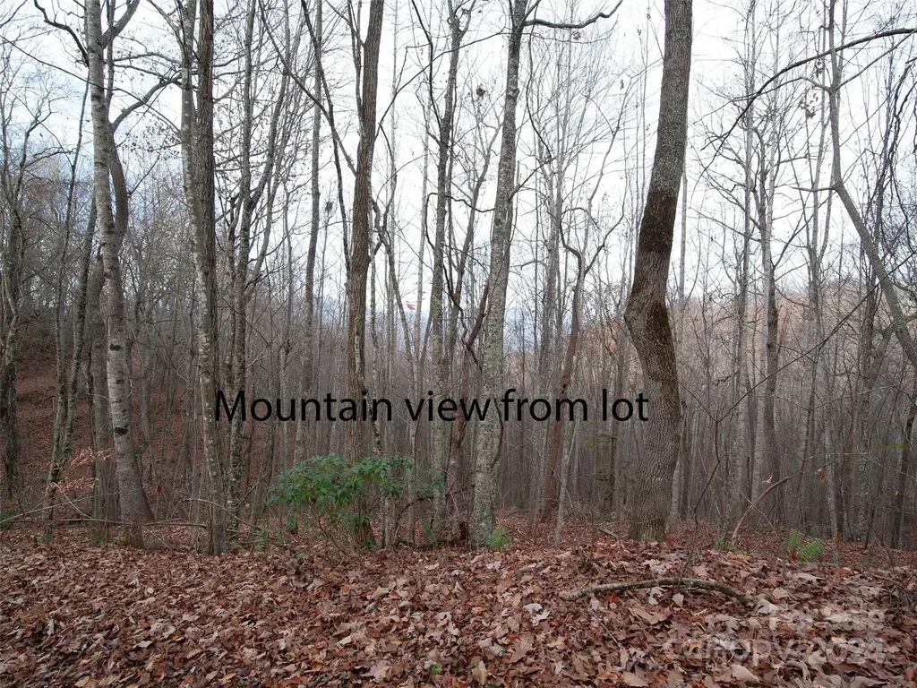 000 Beacon Rock Lane Waynesville NC 28786