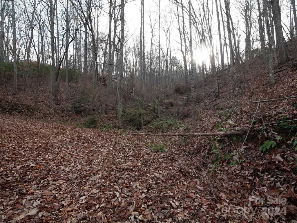 000 Beacon Rock Lane Waynesville NC 28786