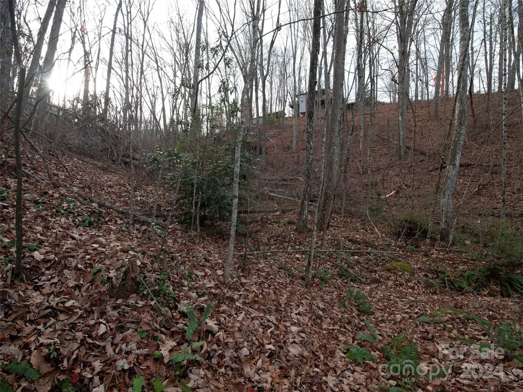 000 Beacon Rock Lane Waynesville NC 28786