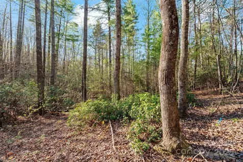 342 Waters Edge Drive Nebo NC 28761