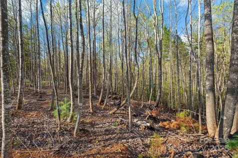342 Waters Edge Drive Nebo NC 28761