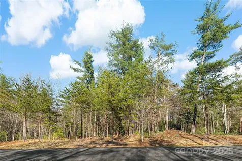342 Waters Edge Drive Nebo NC 28761