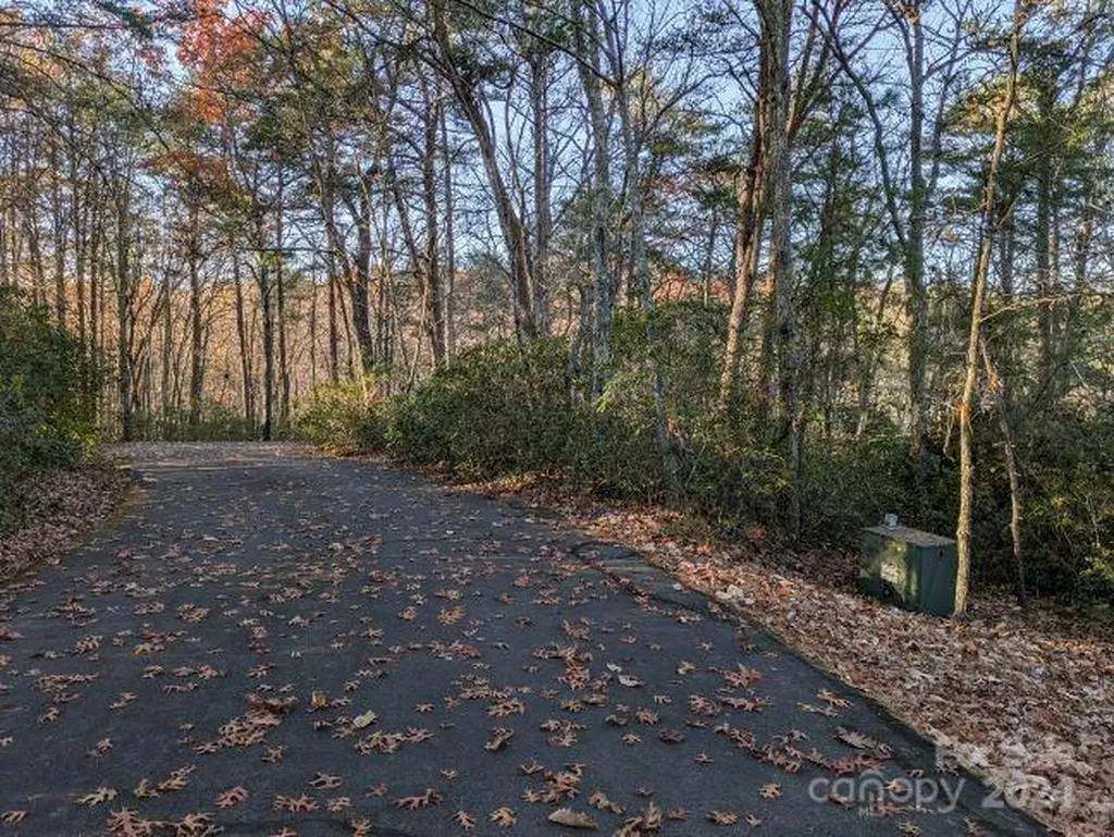 Lot 59 & 60 Willow Lane Columbus NC 28722